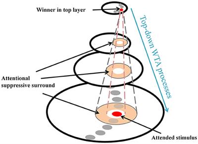 The Attentional Suppressive Surround: Eccentricity, Location-Based and Feature-Based Effects and Interactions